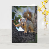 Baby eekhoorn in de boom kaart (Gele Bloem)