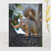 Baby eekhoorn in de boom kaart (Gele Bloem)