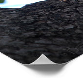 Baby eekhoorn in de boom poster (Hoek)