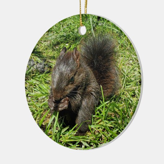 Baby eekhoorn keramisch ornament (Links)