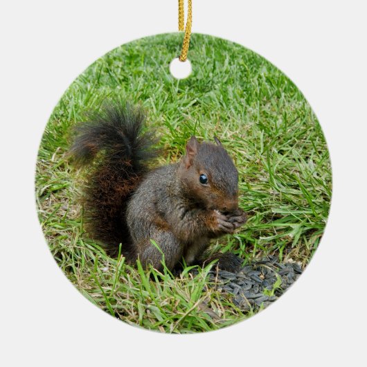 Baby eekhoorn keramisch ornament (Voorkant)