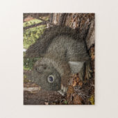 Baby eekhoorn legpuzzel (Verticaal)