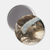 Baby eekhoorn magneet (Voorkant / Achterkant)
