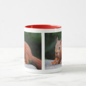 Baby eekhoorn met noten mok (Midden)
