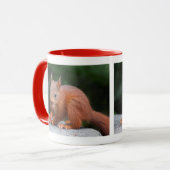 Baby eekhoorn met noten mok (Voorkant links)