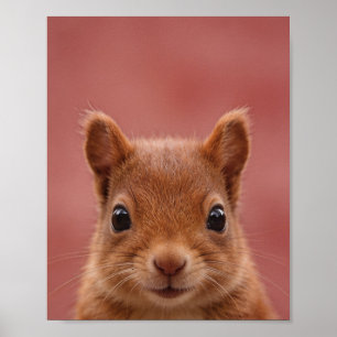 Baby Eekhoorn Portret Nurserie Muur Kunst Poster