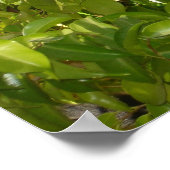 Baby eekhoorn poster (Hoek)