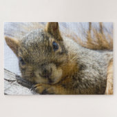 baby eekhoornpuzzel legpuzzel (Horizontaal)