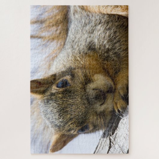 baby eekhoornpuzzel legpuzzel (Verticaal)