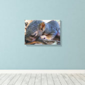Baby eekhoornslaap canvas afdruk (Insitu (Houten vloer))