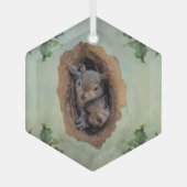 Baby Eekhoorntjes, feestdagen, glazen versiering Glas Ornament (Voorkant)