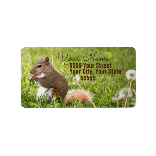 Baby eekhoorntjesadreslabels etiket (Voorkant)