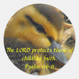 Baby eend - onschuld ronde sticker