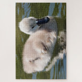 baby eend puzzel  (Verticaal)