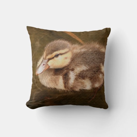Baby eenden Ducking Bird Willife Animals Mallard Kussen (Voorkant)