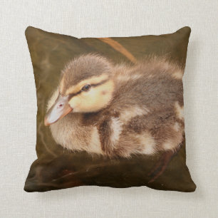 Baby eenden Ducking Bird Willife Animals Mallard Kussen