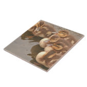 Baby Eenden Ducklings Mallard Birds Wildlife Tile Tegeltje (Zijkant)