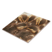 Baby Eenden Ducklings Mallard Birds Wildlife Tile Tegeltje (Zijkant)