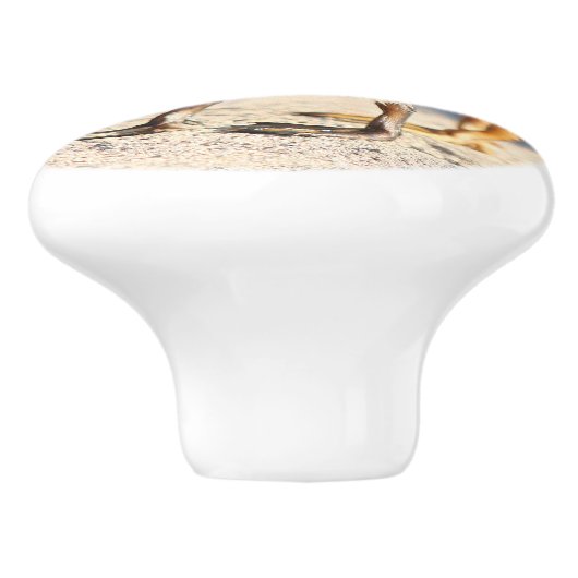 Baby eenden Mestvogels Wilde dieren Knop (Zijkant)