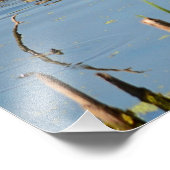 Baby Eenden na moeder Foto Afdruk (Hoek)