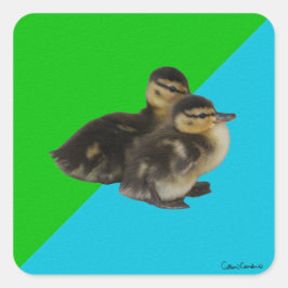 Baby Eenden op Grass Green en Sky Blue Vierkante Sticker