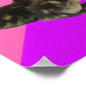 Baby Eenden op Roze Framboos en Paarse Sorbet Poster (Hoek)