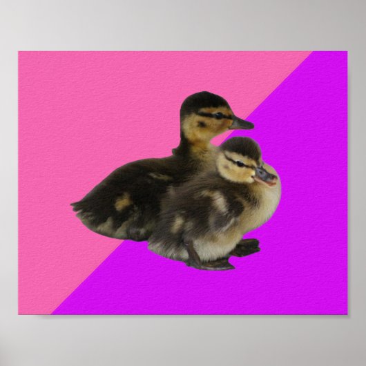 Baby Eenden op Roze Framboos en Paarse Sorbet Poster (Voorkant)