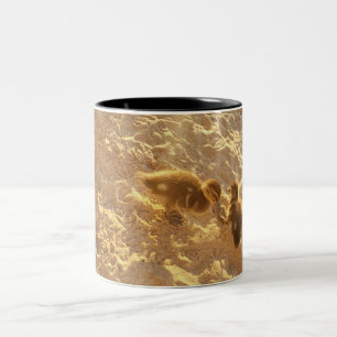 Baby eenden strand Coffee Mugs Tweekleurige Koffiemok