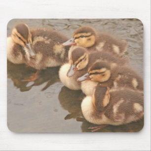 Baby eenden Vogels Wildlife Mousepad Muismat