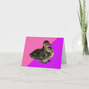 Baby Eendjes op Roze Framboos en Paarse Sorbet Kaart