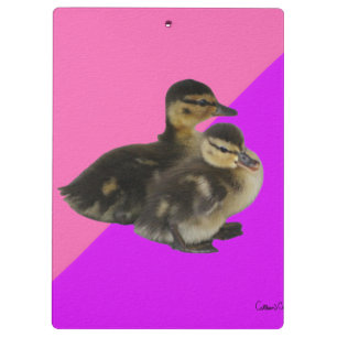 Baby Eendjes op Roze Framboos en Paarse Sorbet Klembord