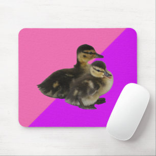 Baby Eendjes op Roze Framboos en Paarse Sorbet Muismat