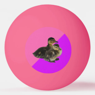 Baby Eendjes op Roze Framboos en Paarse Sorbet Pingpongbal