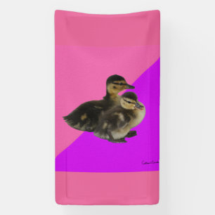 Baby Eendjes op Roze Framboos en Paarse Sorbet Spandoek