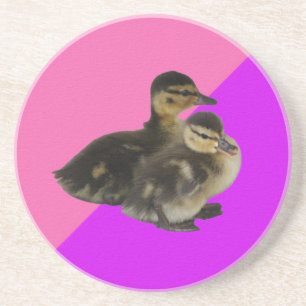 Baby Eendjes op Roze Framboos en Paarse Sorbet Zandsteen Onderzetter
