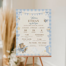 Baby Eerste Jaar Mijlpaal Teddybeer Vliegtuig Blau