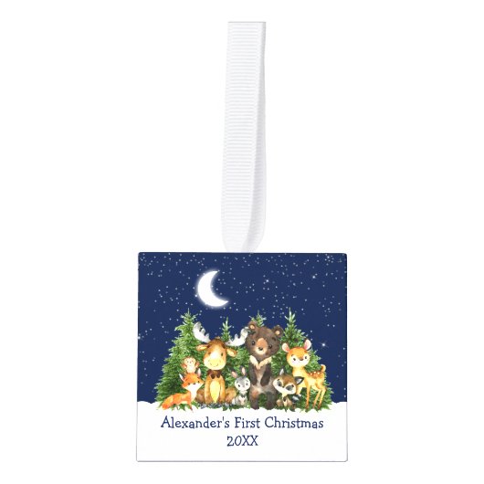 Baby eerste kerstbosdieren Blauwe foto Decoratie (Voorkant)