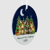 Baby eerste kerstvizieren met luchtvesten ornament (voorkant)