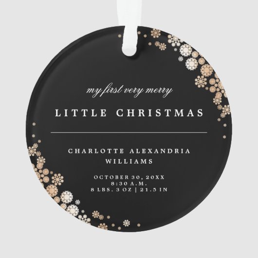 Baby Eerste kerstwinter Snowflakes Foto Birth Ornament (achterkant)