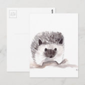 baby egel briefkaart (Voorkant / Achterkant)