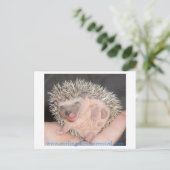 Baby egel Briefkaart (Staand voorkant)