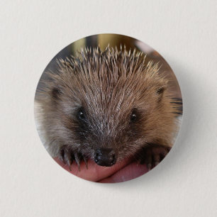 Baby-egel-Button Ronde Button 5,7 Cm