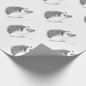 Baby egel cadeaupapier (Hoek)