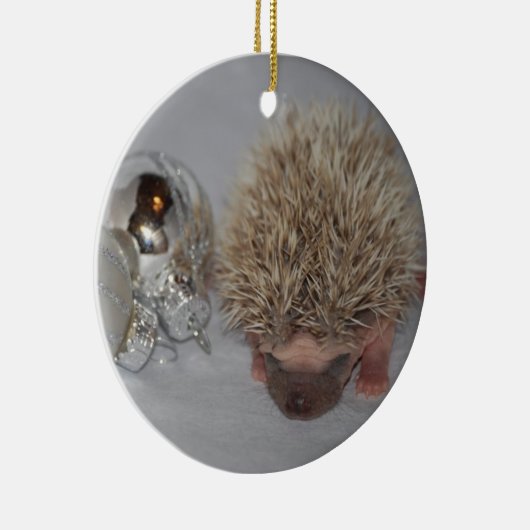 Baby egel kerstversiering keramisch ornament (Rechts)