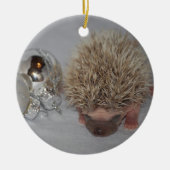 Baby egel kerstversiering keramisch ornament (Voorkant)