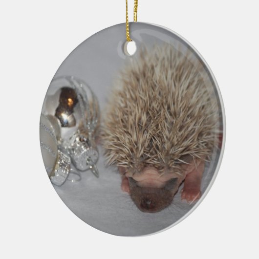 Baby egel kerstversiering keramisch ornament (Links)