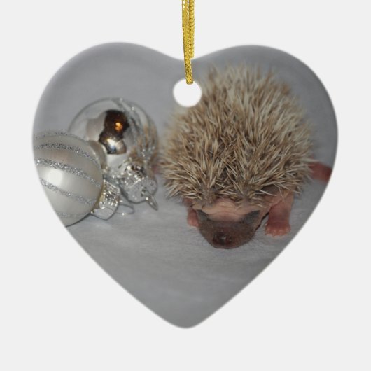 Baby egel kerstversiering keramisch ornament (Voorkant)