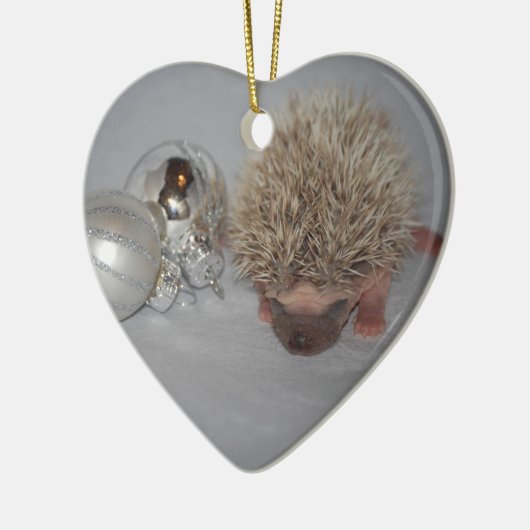 Baby egel kerstversiering keramisch ornament (Links)