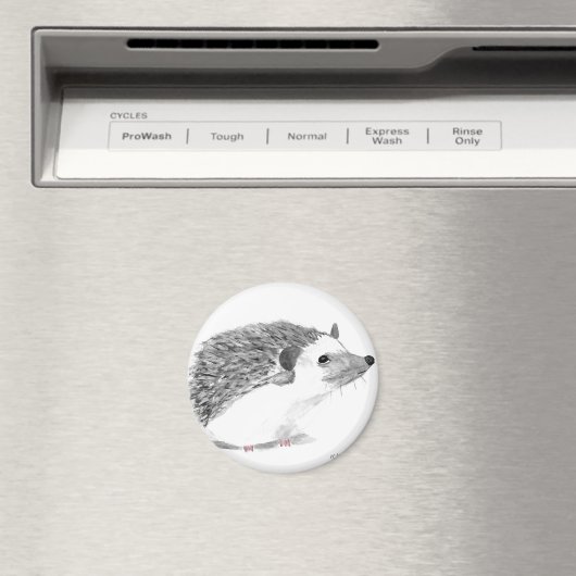 Baby egel magneet (Insitu (Vaatwasser))