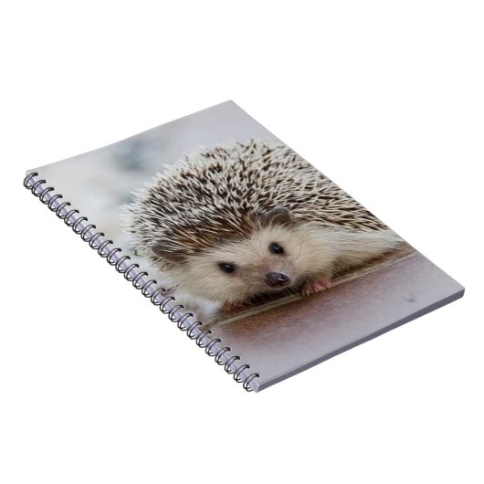 Baby egel notitieboek (Rechterzijde)